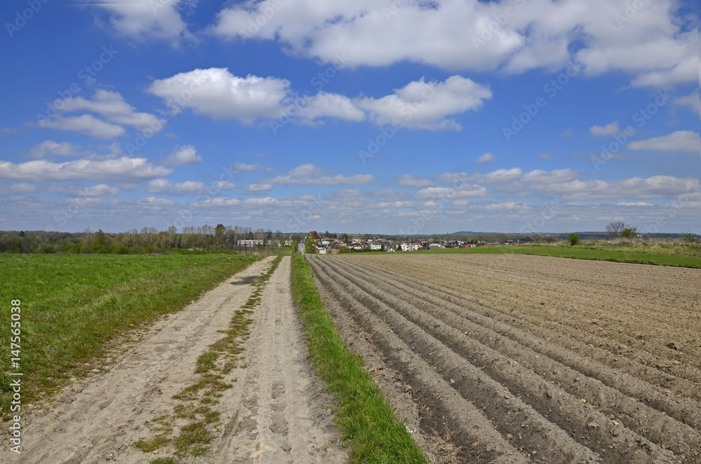 A country road among the fields with a view to a disant village, blue sky with scattered clouds in the background