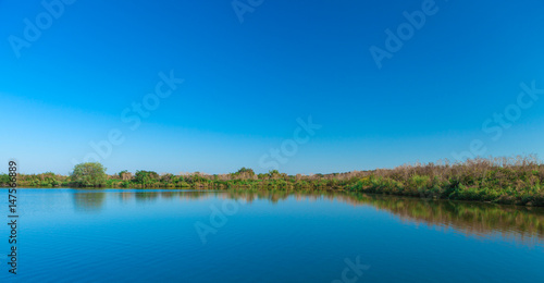 Picturesque forest and the river