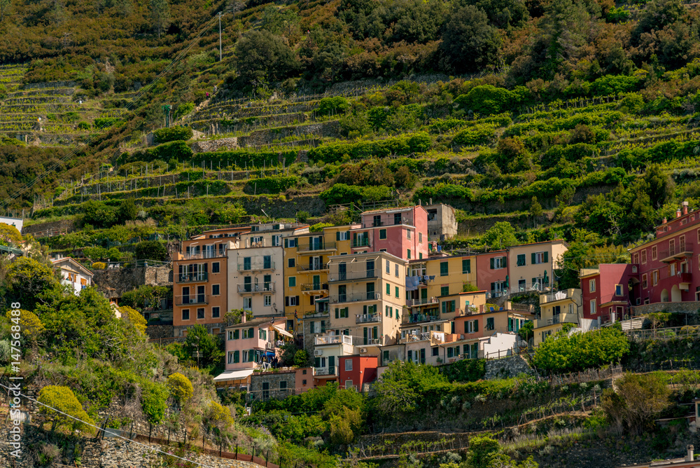 Selling colorful lands of five lands in italy in the lugura coast
