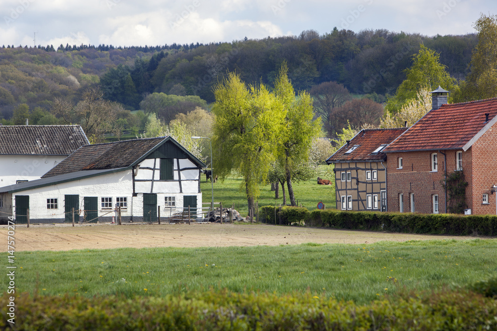 Obraz premium Farm and houses in Limburg