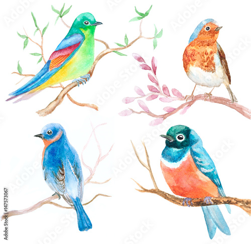 set of watercolor birds in spring on white