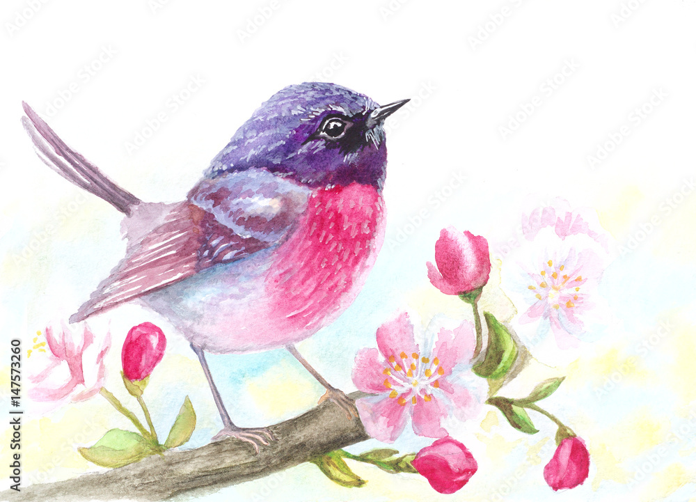 Obraz akwarela ptak siedzący na gałęzi drzewa kwiaty kwitnąć