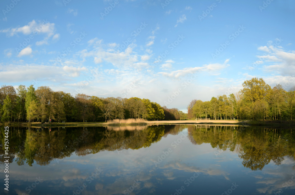 Fototapeta premium lichtdurchflutet