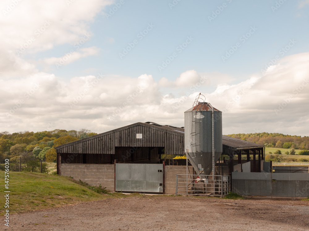 Obraz premium farm in the country with barn and metal silo
