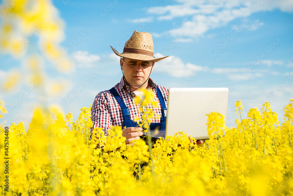 Farmer with laptop in the blooming rapeseed field