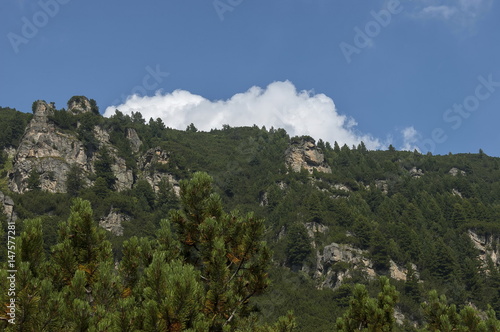 Sunlit mountain top overgrown with coniferous forest and glade on the ecological walk toward Maliovitza peak in Rila mountain, Bulgaria  photo