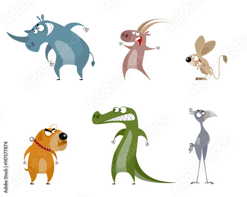 Six funny animals