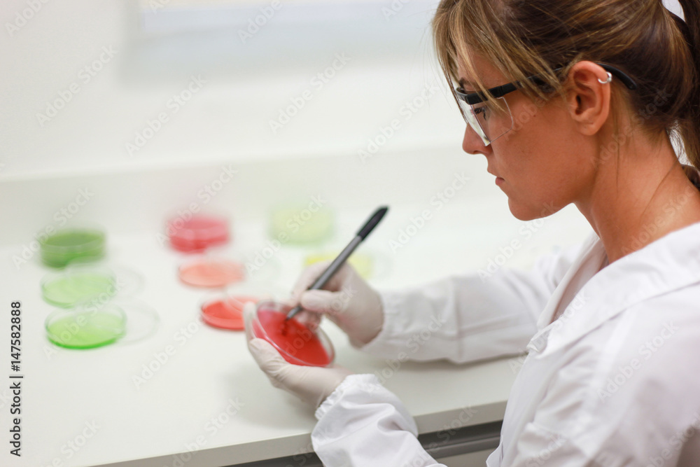 Female scientist doing bacterial analysis Female scientist doing bacterial analysis