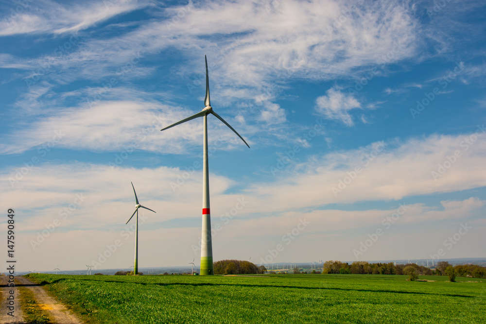 Fototapeta premium Windrad Erneuerbare Energie renewable energy