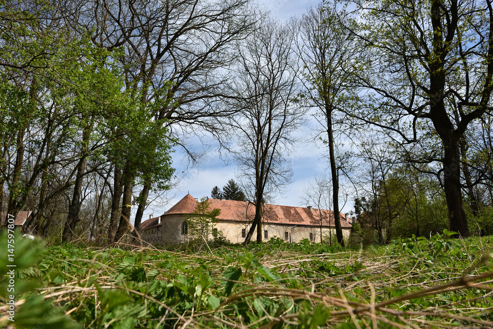 Old abandoned castle ruins in the forest Old abandoned castle ruins in the forest