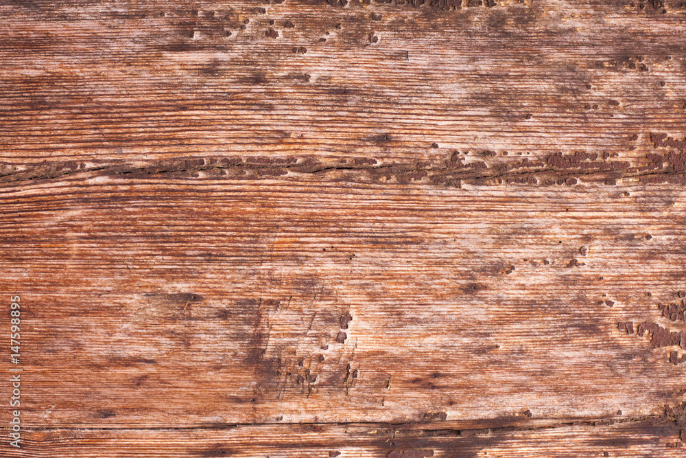 Naklejka premium Grunge, rustic wood texture