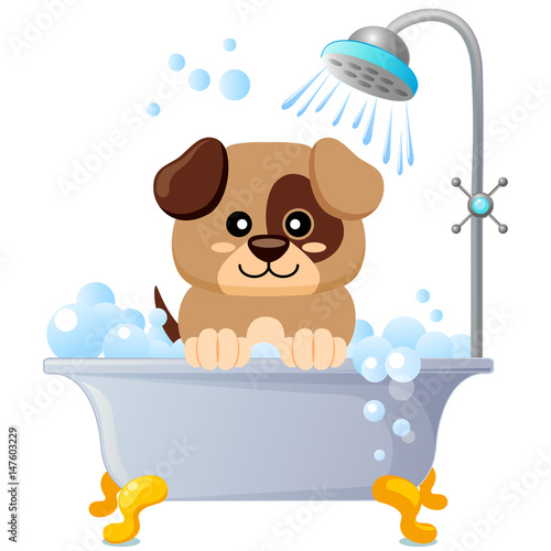 Cute puppy taking bath. Dog grooming. Vector illustration isolated on white