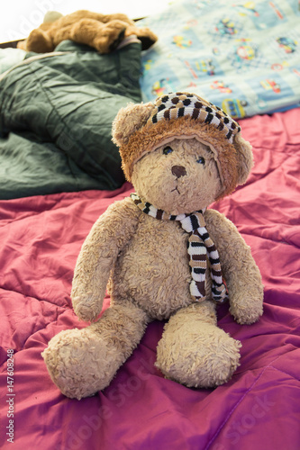 cute brown teddy bear on blanket
