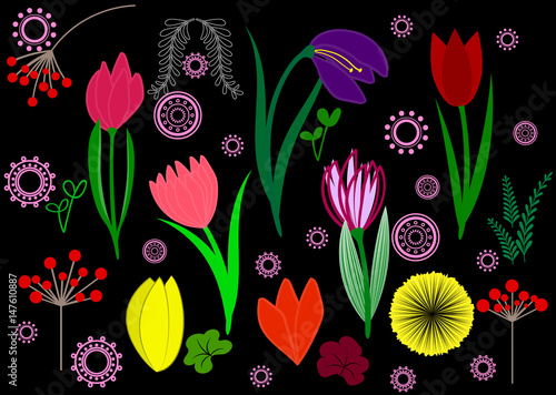  isolated flowers set on a black background. flat design. colorful spring floral elements.