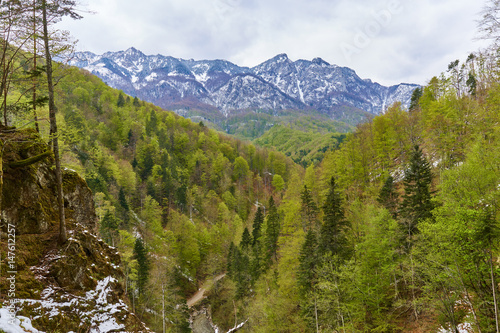 Alpine landscape in the spring