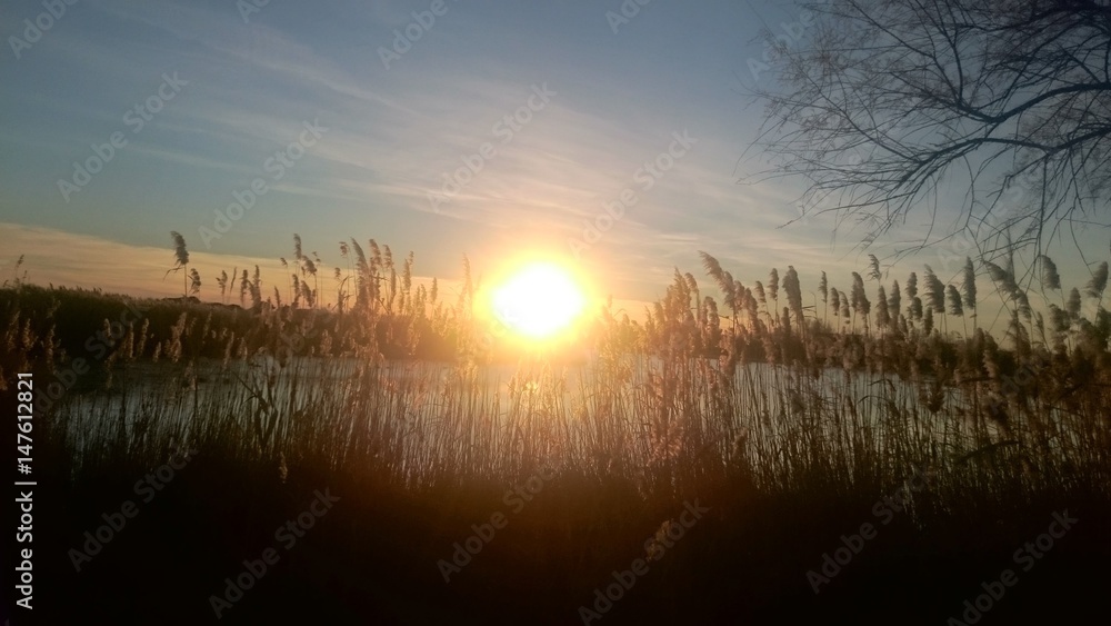 Naklejka premium Coucher de soleil en camargue