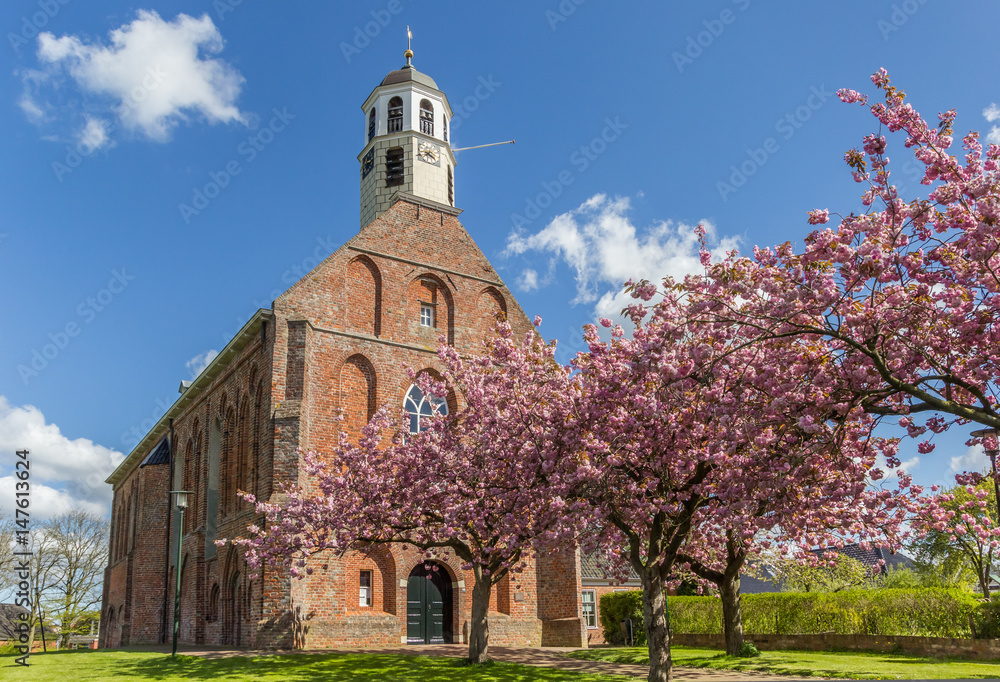 Cherry blossom in front of the old church in Ten Boer Cherry blossom in front of the old church in Ten Boer
