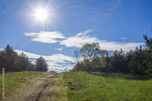 A farm lane on a bright spring morning with a starburst sun, blue sky, white clouds, green grass, and pine trees.