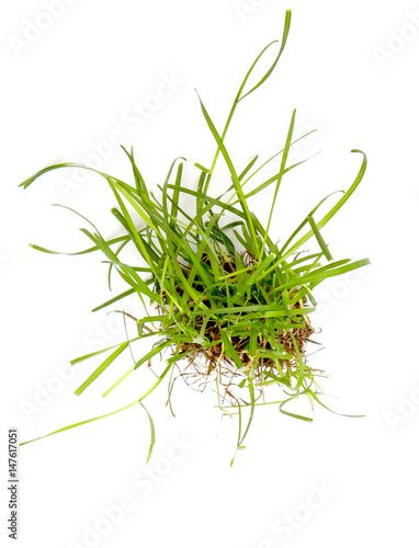 Canvas-taulu grass on white