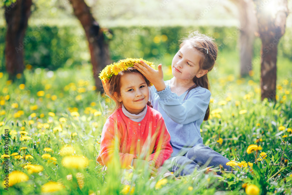 beautiful blue-eyed girl wears a wreath of dandelions to her sister on the head beautiful blue-eyed girl wears a wreath of dandelions to her sister on the head