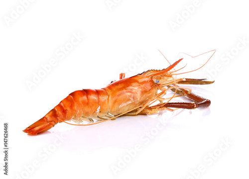 Grilled river shrimp isolated