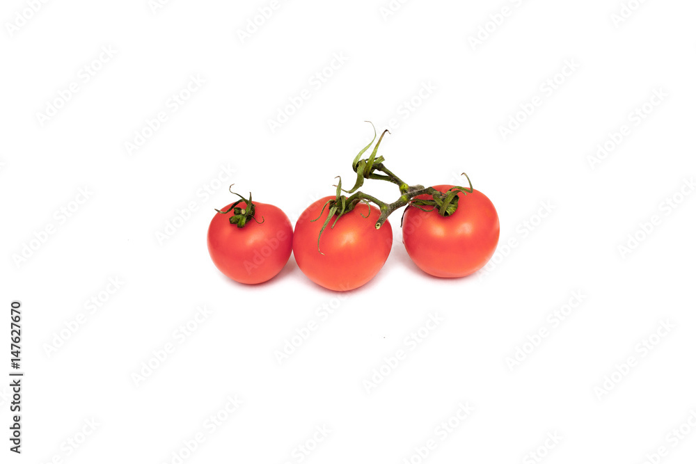 Tomatoes on white background
Tomatoes on white background