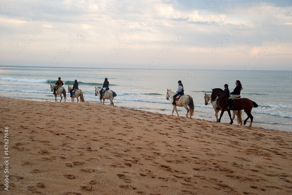 Fototapeta premium PASEANDO A CABALLO POR LA PLAYA