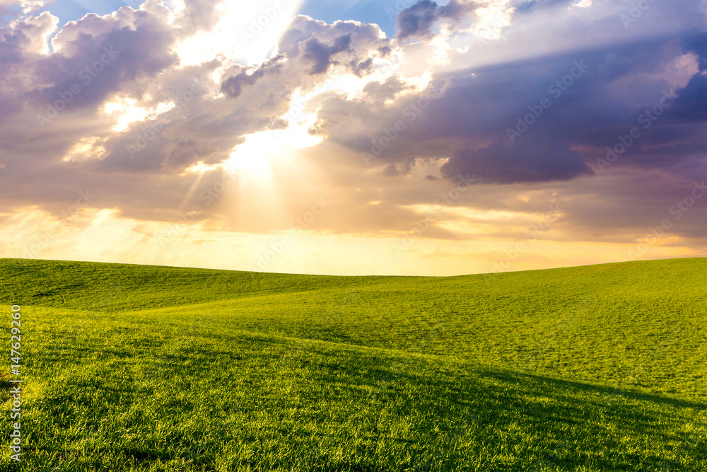 Green grass hills meadows landscape with cloudy sky and sun rays at sunset. Outdoor nature background.
