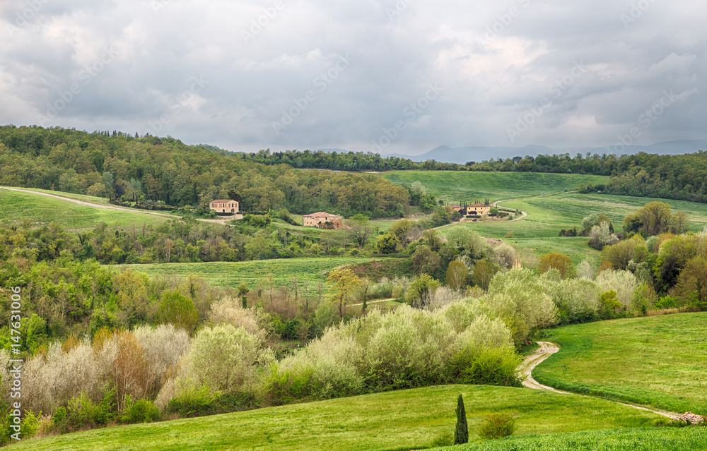 Farm Houses, Tuscany