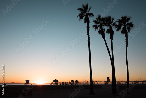 Silhouette of palm trees in Huntington Beach © Jeannette