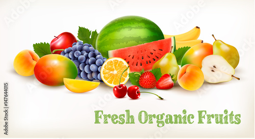 Big collection of different fresh fruit. Vector.
