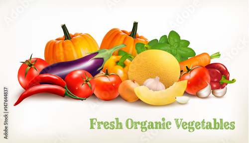 Big set of colorful vector vegetables. Vector illustration.