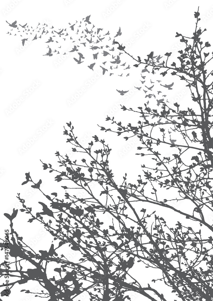 Vector, illustration, silhouette of flying birds and tree branches
