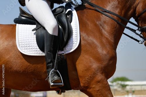 Close up on a horse with rider during a dressage competition