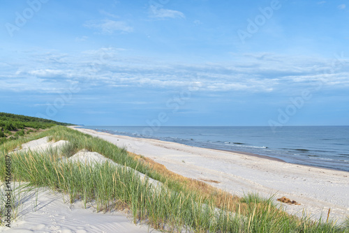 Sea shore with wild grass and shore plants. Baltic sea coast.