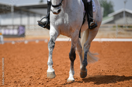 Close up on a horse legs during a dressage competition