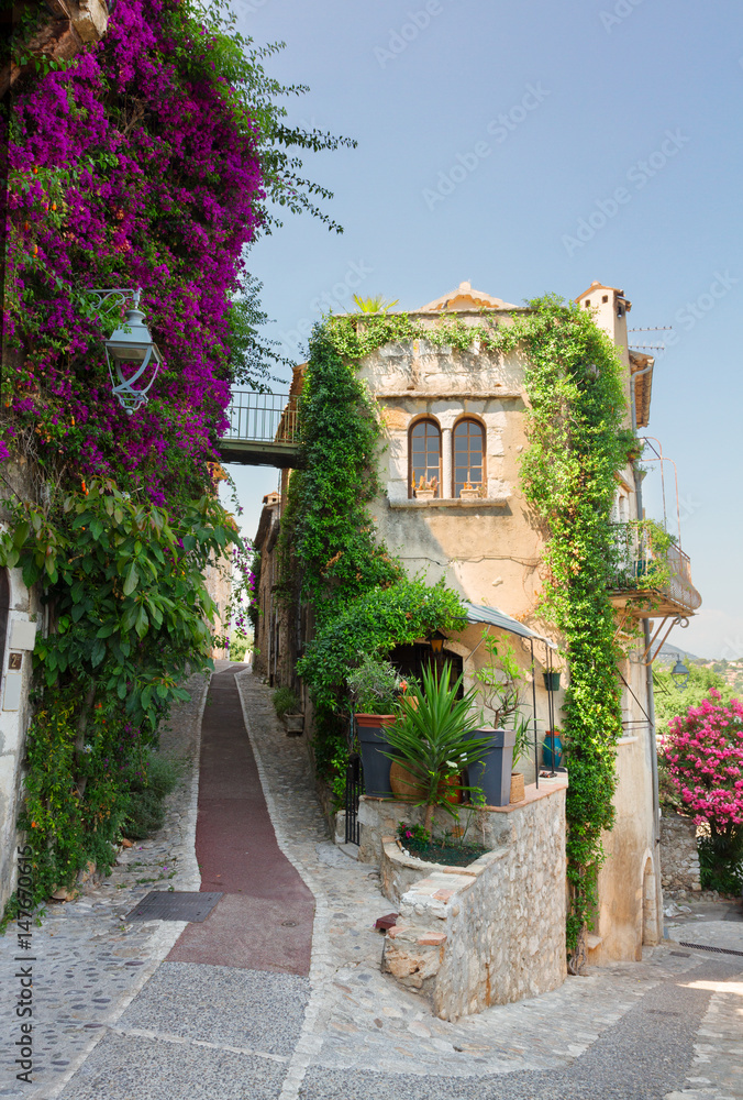 beautiful old town street of Provence with summer flowers, France
