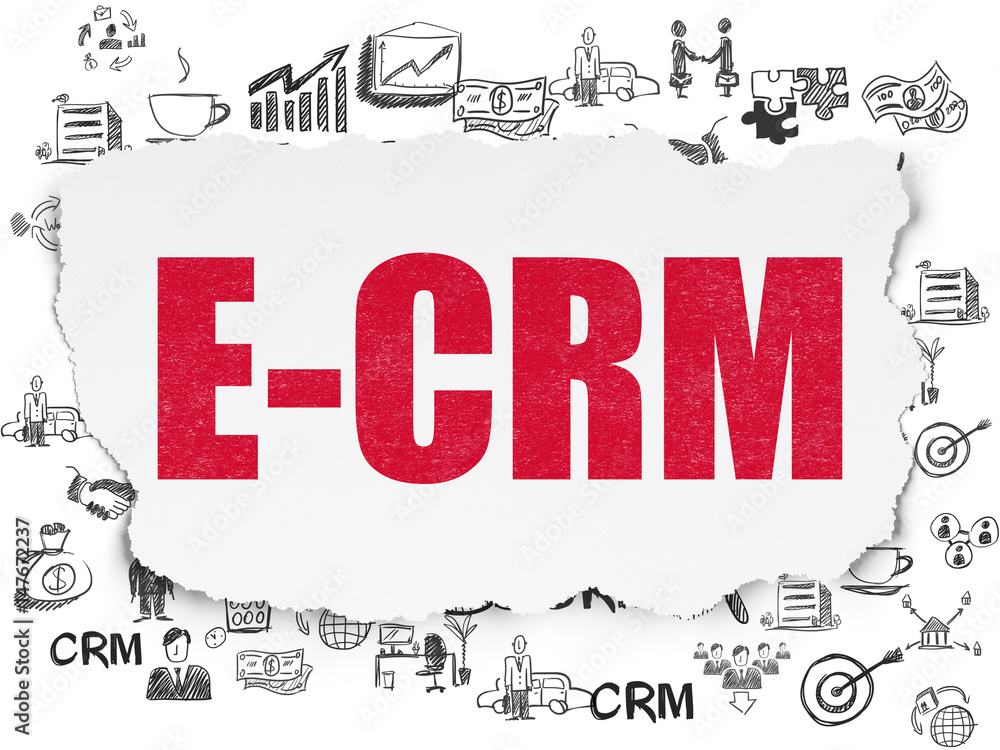 Business concept: E-CRM on Torn Paper background