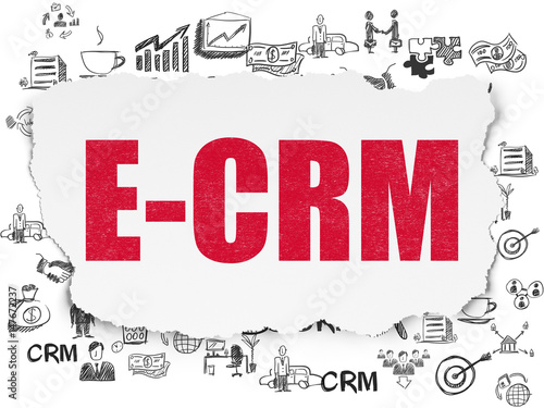 Business concept  E-CRM on Torn Paper background