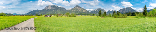 green landscape in the near of the alps - region oberstdorf, panorama