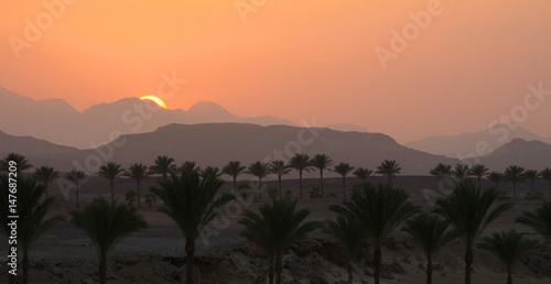 Sunset in the desert. Egypt.