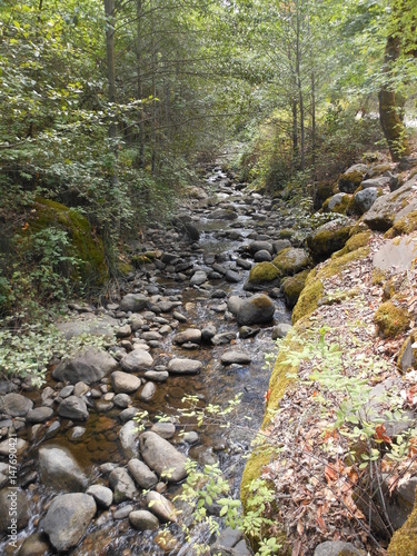 Creek Bed