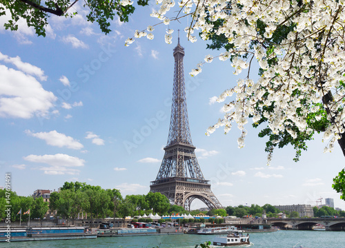 eiffel tour over Seine river with tree and spring tree flowers, Paris, France