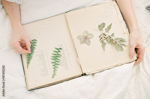 Person inserting leaves into book photo