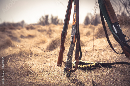 Hunting scene with hunting shotguns and ammunition belt on dry grass in rural field during hunting season as hunting background
