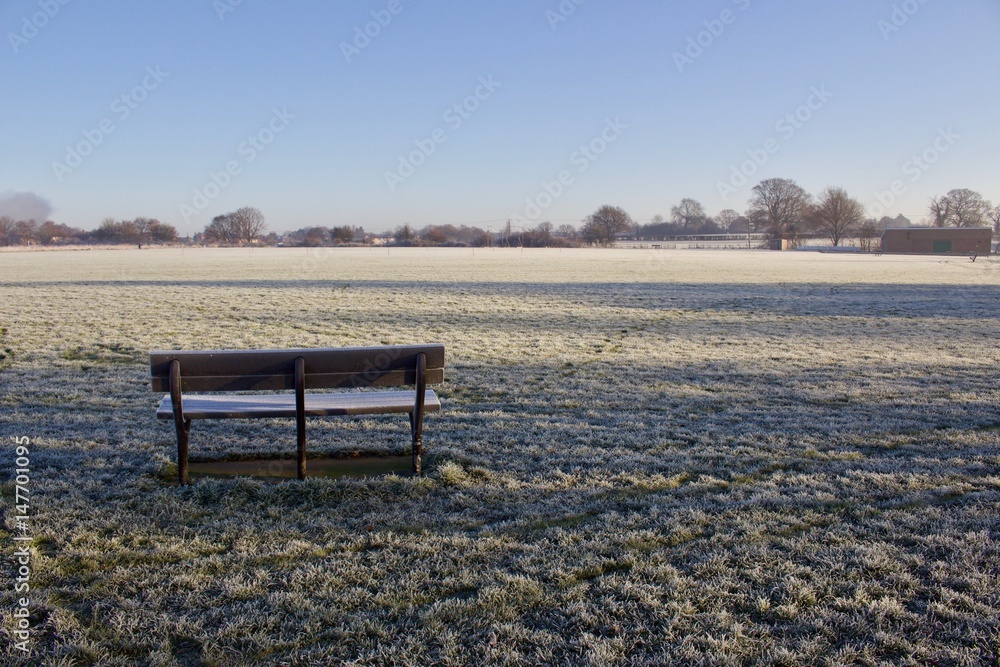 Bench in the Frost