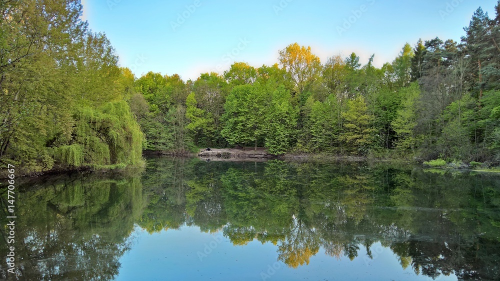 Obraz premium See im Wald
