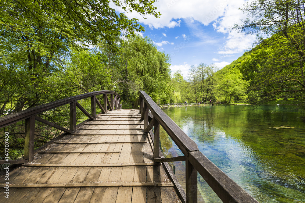 Obraz premium Beautiful wooden bridge over the lake.