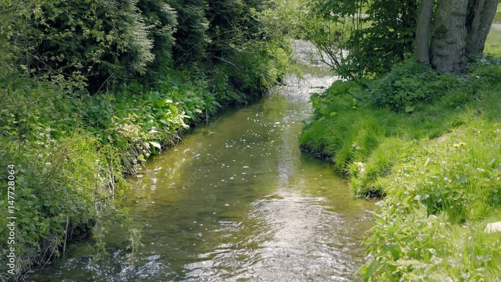 Small stream flowing through a picturesque valley with meadows and forests. Clear water in beautiful, creeping brook. Static day stabilized shot. Small stream flowing through a picturesque valley with meadows and forests. Clear water in beautiful, creeping brook. Static day stabilized shot.