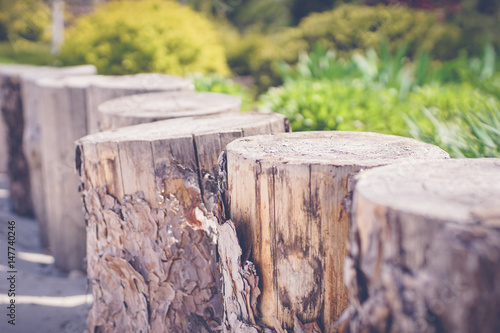Wallpaper Mural green garden with wooden fines Torontodigital.ca